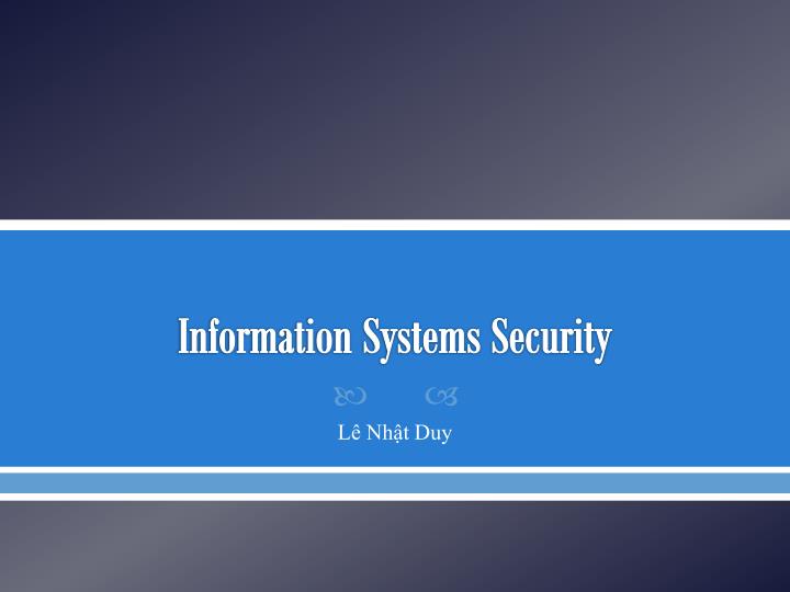 information systems security