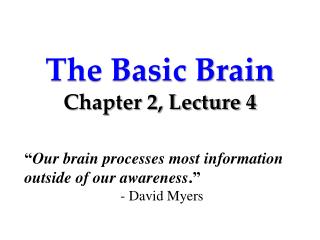 The Basic Brain Chapter 2, Lecture 4