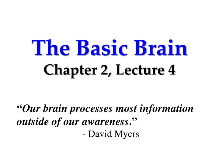 the basic brain chapter 2 lecture 4