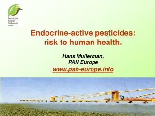 Endocrine-active pesticides: risk to human health. Hans Muilerman, PAN Europe pan-europe