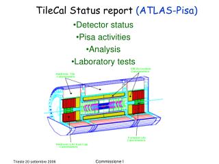Detector status Pisa activities Analysis Laboratory tests