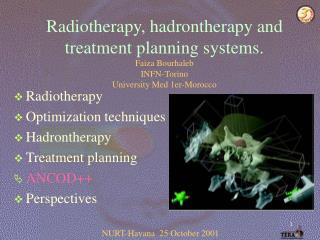 Radiotherapy Optimization techniques Hadrontherapy Treatment planning ANCOD++ Perspectives