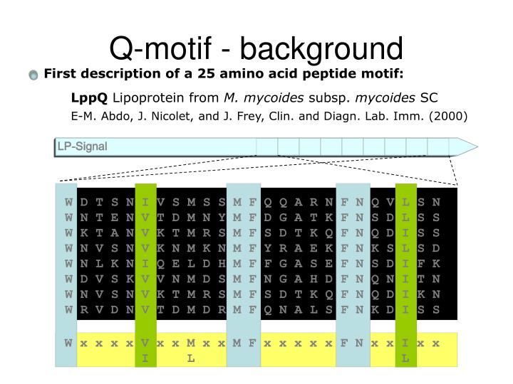 q motif background