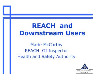 REACH and Downstream Users