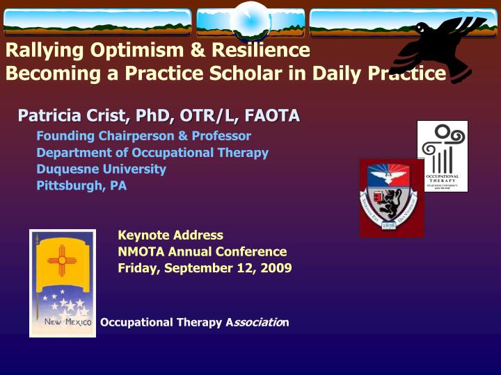 rallying optimism resilience becoming a practice scholar in daily practice