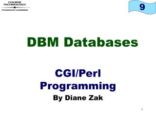 DBM Databases