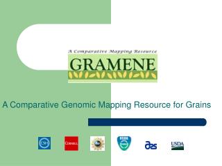 A Comparative Genomic Mapping Resource for Grains