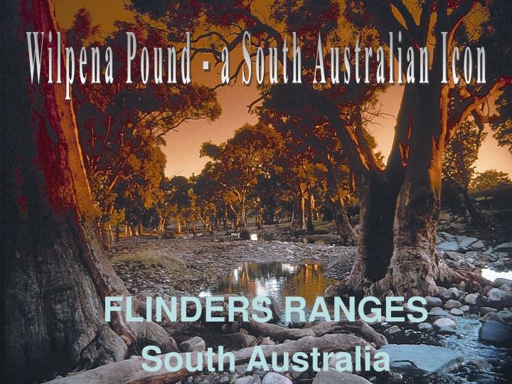 flinders ranges south australia