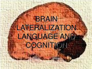 BRAIN LATERALIZATION LANGUAGE AND COGNITION