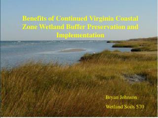Benefits of Continued Virginia Coastal Zone Wetland Buffer Preservation and Implementation