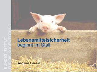 lebensmittelsicherheit beginnt im stall