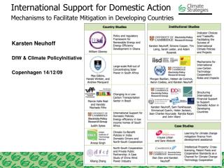 International Support for Domestic Action