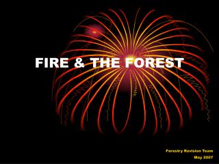 FIRE &amp; THE FOREST