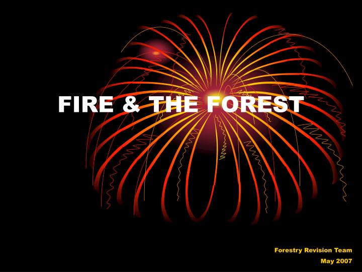 fire the forest