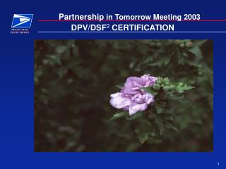 DPV/DSF 2 CERTIFICATION