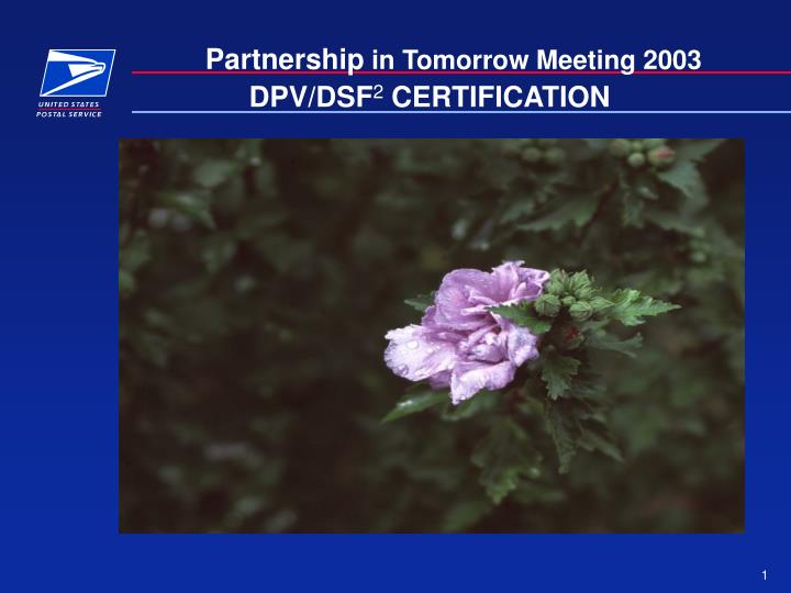 dpv dsf 2 certification