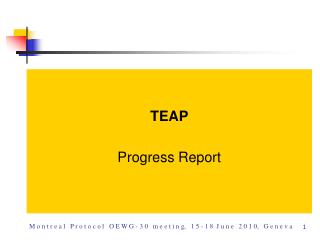 TEAP Progress Report