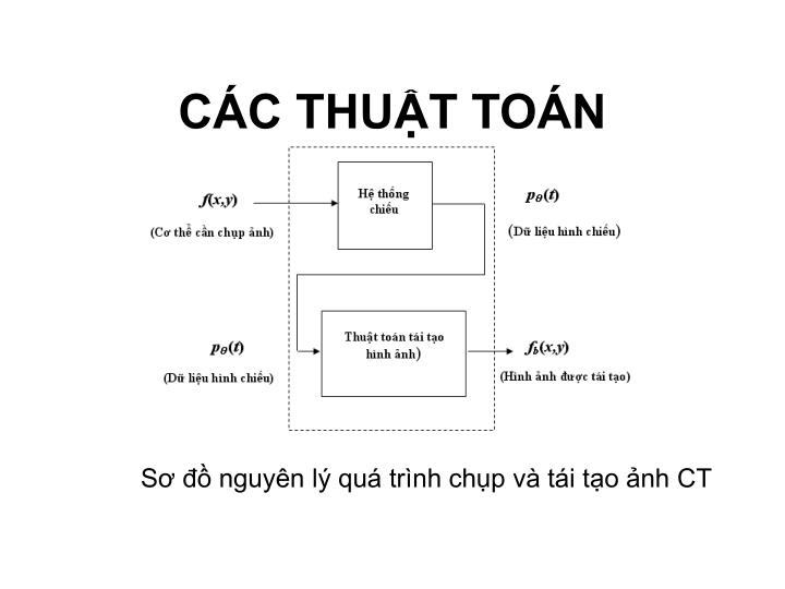 c c thu t to n