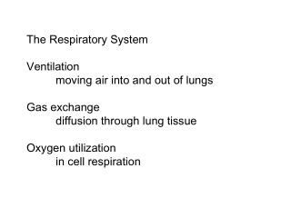 The Respiratory System Ventilation 	moving air into and out of lungs Gas exchange