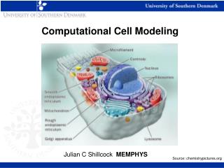 Computational Cell Modeling