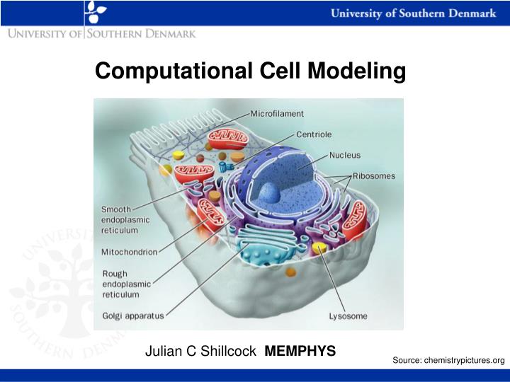 computational cell modeling