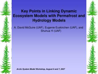 Key Points in Linking Dynamic Ecosystem Models with Permafrost and Hydrology Models