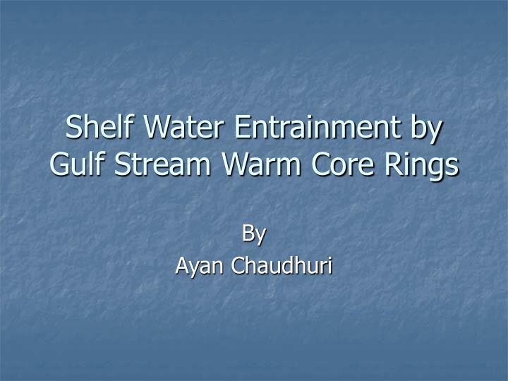 shelf water entrainment by gulf stream warm core rings