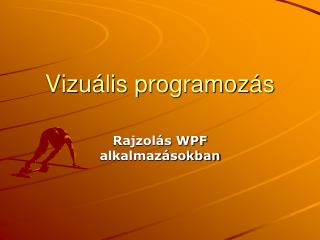 vizu lis programoz s