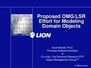 Proposed OMG/LSR Effort for Modeling Domain Objects
