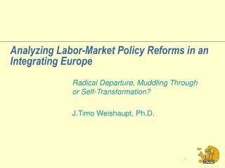 Analyzing Labor-Market Policy Reforms in an Integrating Europe