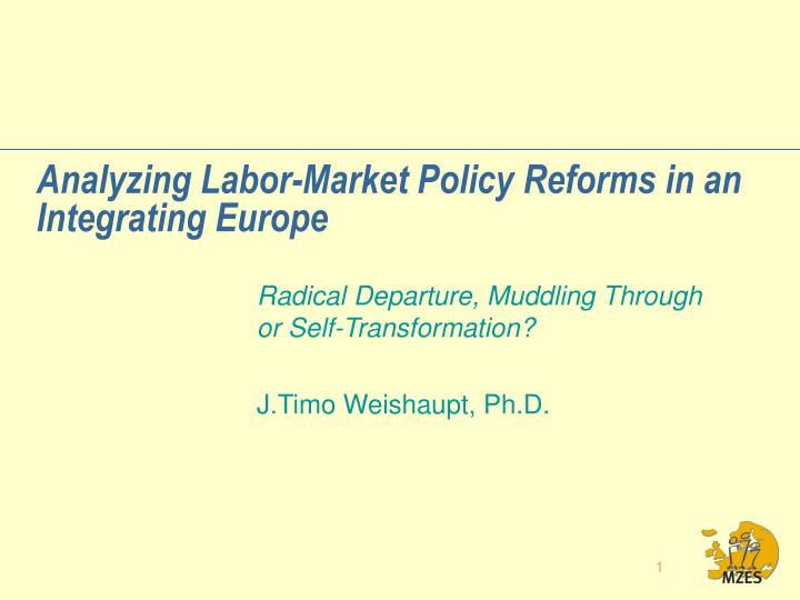 analyzing labor market policy reforms in an integrating europe