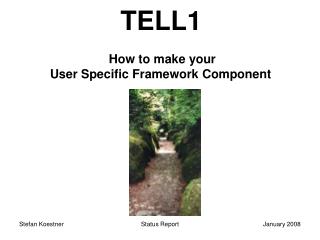 TELL1 How to make your User Specific Framework Component