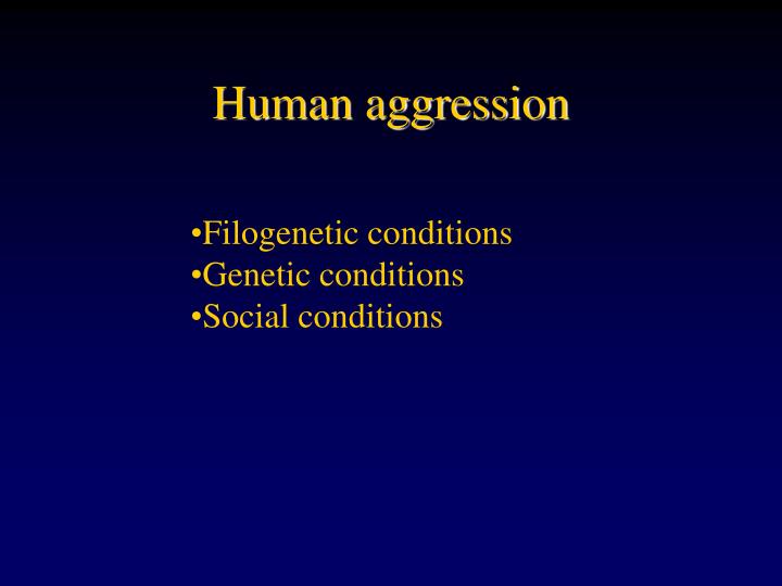 human aggression