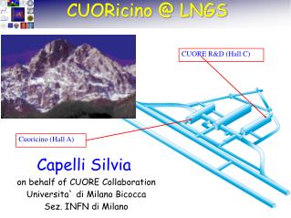 Cuoricino (Hall A)