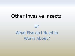 Other Invasive Insects