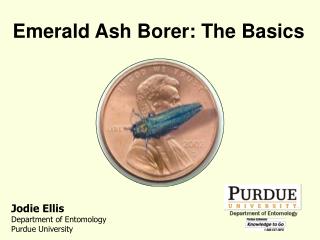 Emerald Ash Borer: The Basics