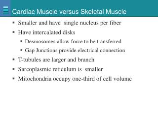 Cardiac Muscle versus Skeletal Muscle