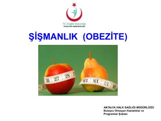 manlik obez te