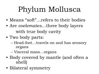 Phylum Mollusca