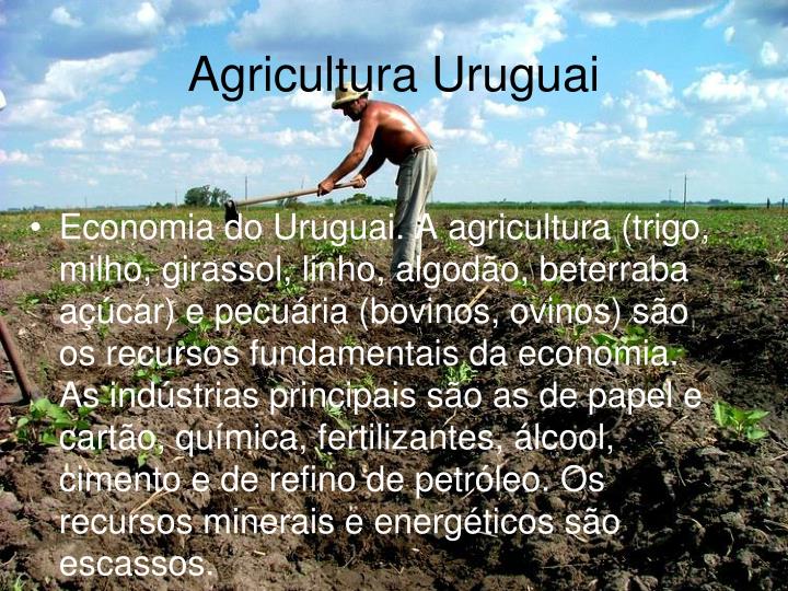 agricultura uruguai