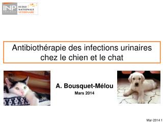 a bousquet m lou mars 2014