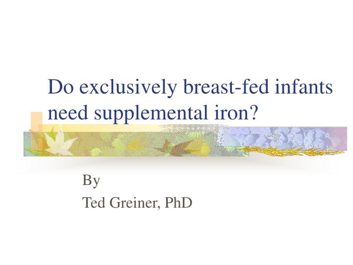 do exclusively breast fed infants need supplemental iron