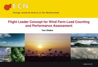 Flight Leader Concept for Wind Farm Load Counting and Performance Assessment
