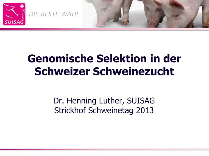 genomische selektion in der schweizer schweinezucht