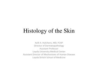 Histology of the Skin