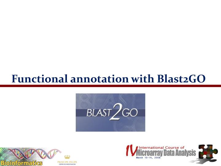 functional annotation with blast2go