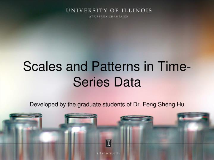 scales and patterns in time series data
