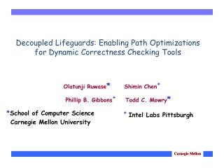 Decoupled Lifeguards: Enabling Path Optimizations for Dynamic Correctness Checking Tools