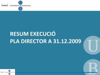 resum execuci pla director a 31 12 2009