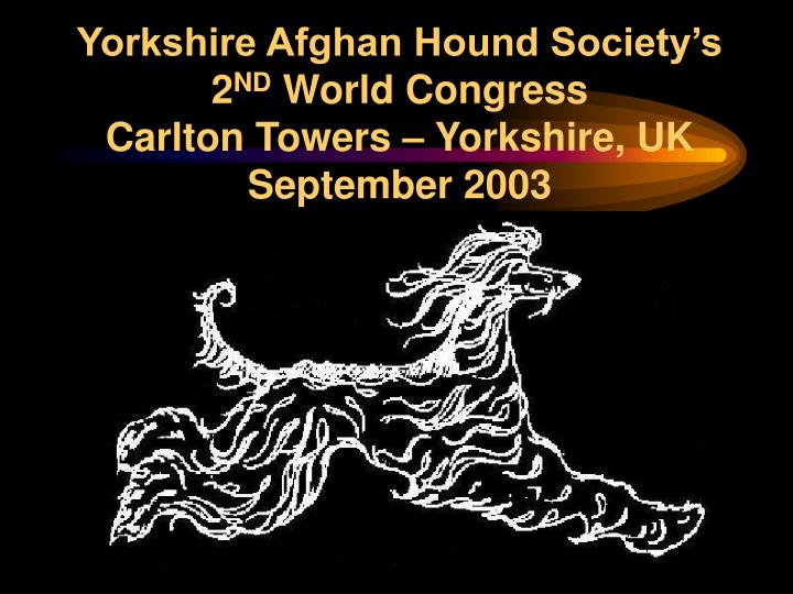 yorkshire afghan hound society s 2 nd world congress carlton towers yorkshire uk september 2003